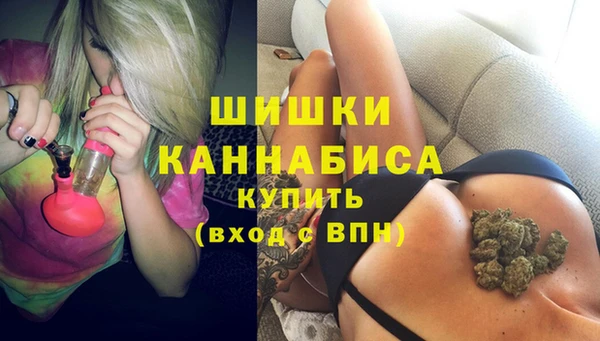 молекула духа Вязники