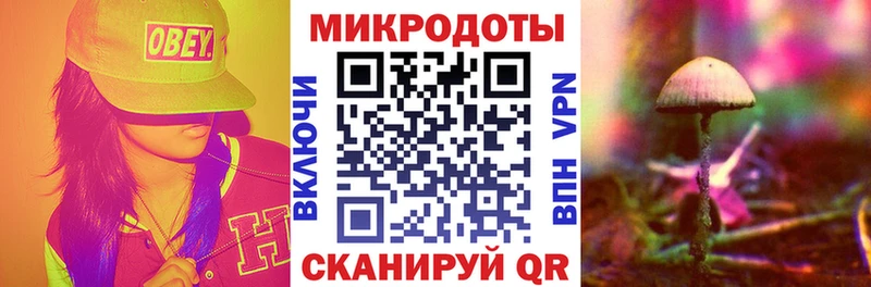 купить наркотик  MEGA tor  Псилоцибиновые грибы Psilocybe  Зуевка 